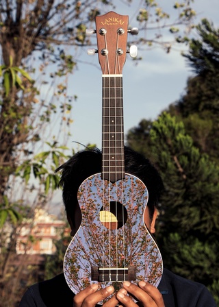 Comptines au Ukulele, Vacances en famille, Cours guitare